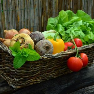 végétarisme diététique